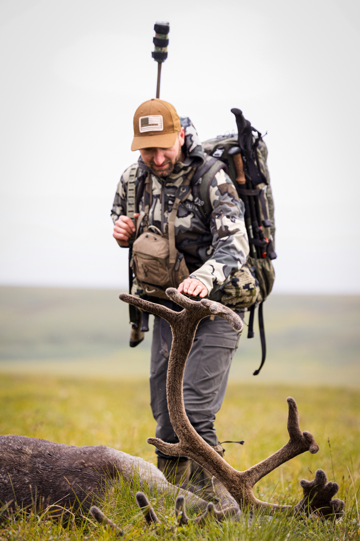 A hunter reaches to touch the velvet antlers of a bull caribou