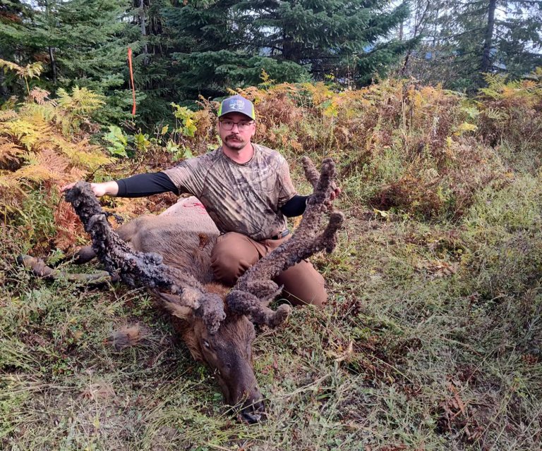 A hunter with a super rare cactus bull elk tagged in Idaho.