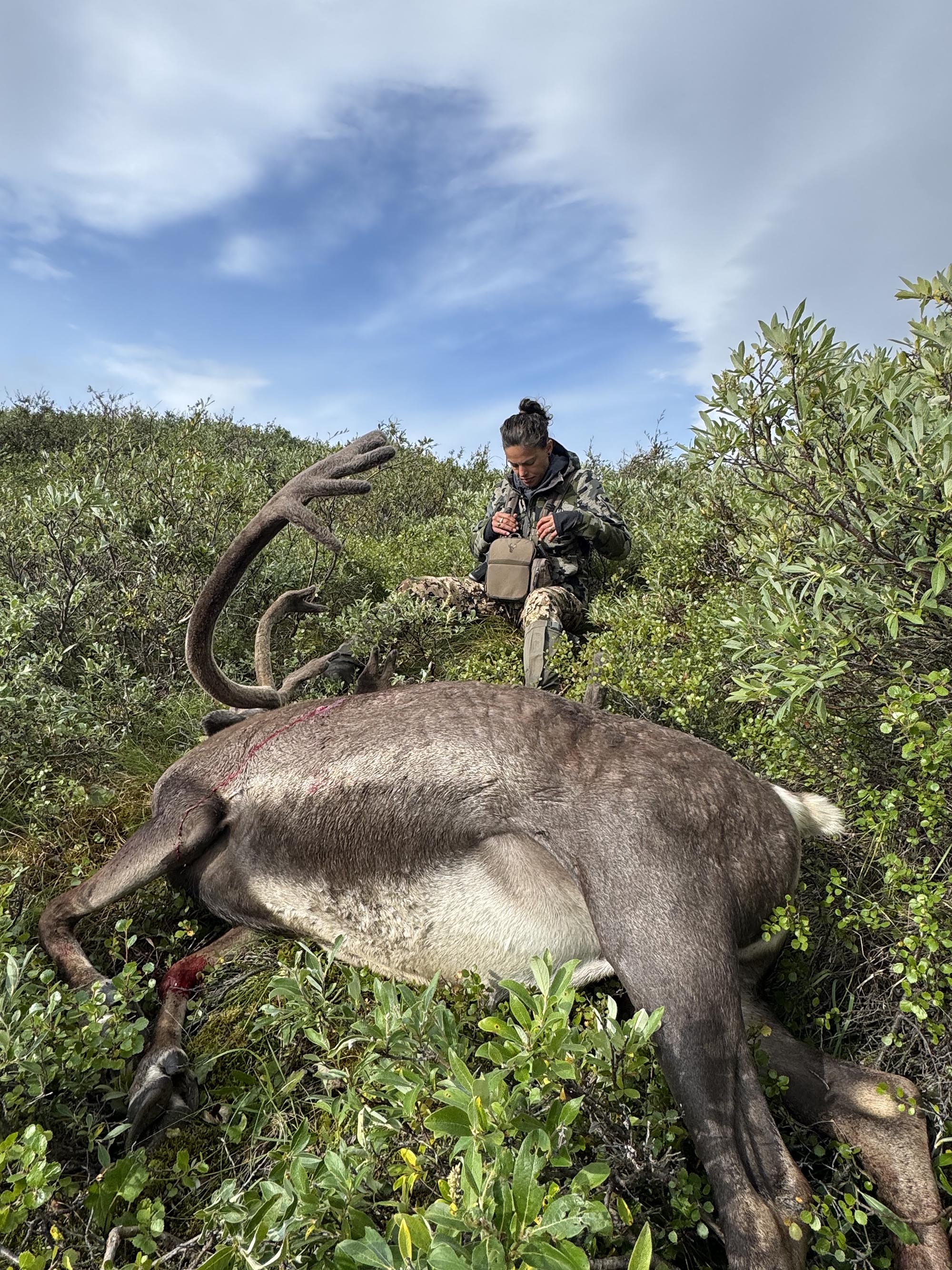 A caribou that fell down a ravine