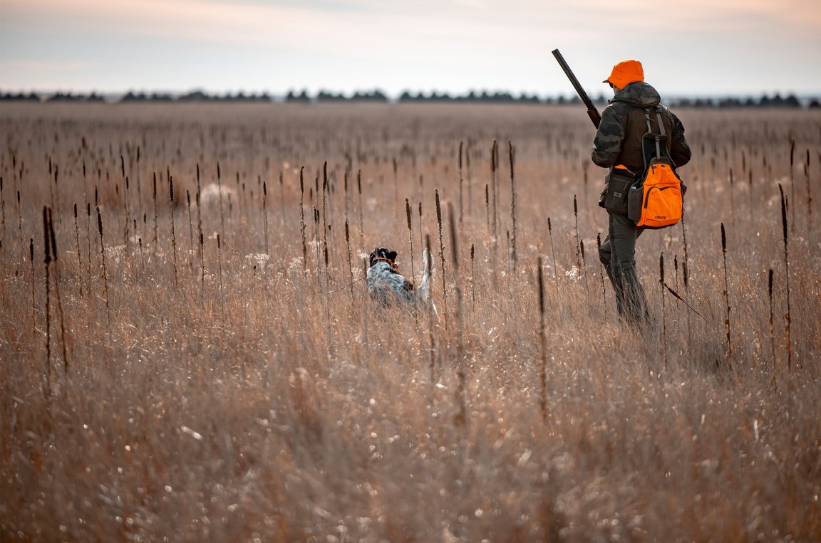 A hunter and a bird dog walking in Nebraska.