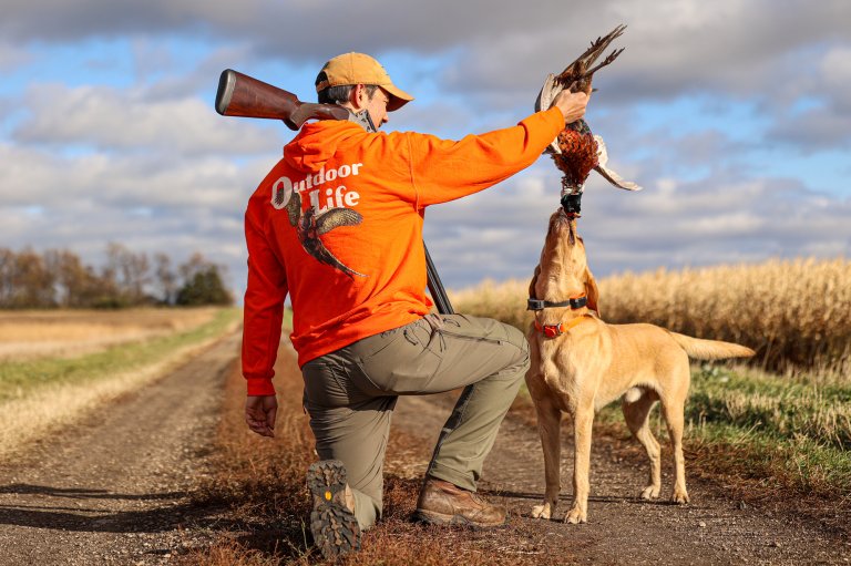 A hunter in a blaze orange Outdoor Life rooster hoodie holds up a pheasant for a Lab.