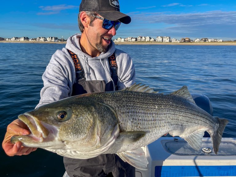 Fisherman Joe Cermele holds up a cow striped bass.
