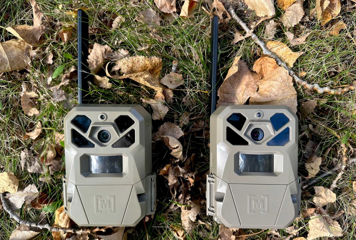 The 5 Best Deals on Trail Cameras for Black Friday