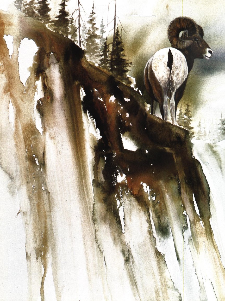 A watercolor of a bighorn ram on a cliff.