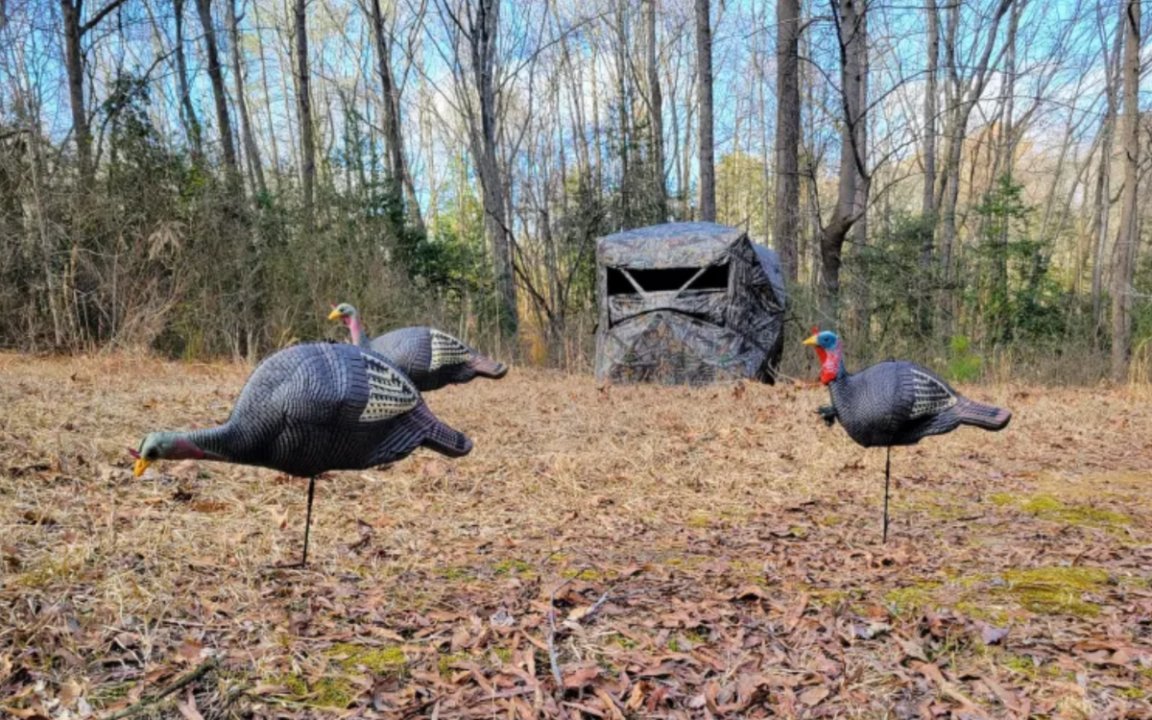 Black Friday Deals Treestands, Blinds, Climbing Sticks, and Saddles