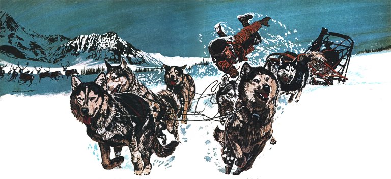An illustration of a man, Frank Glaser, flying off a sled led by sled dogs.