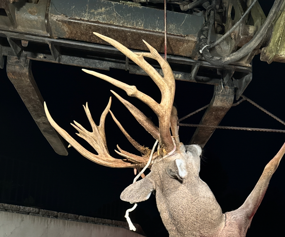 A big missouri buck.