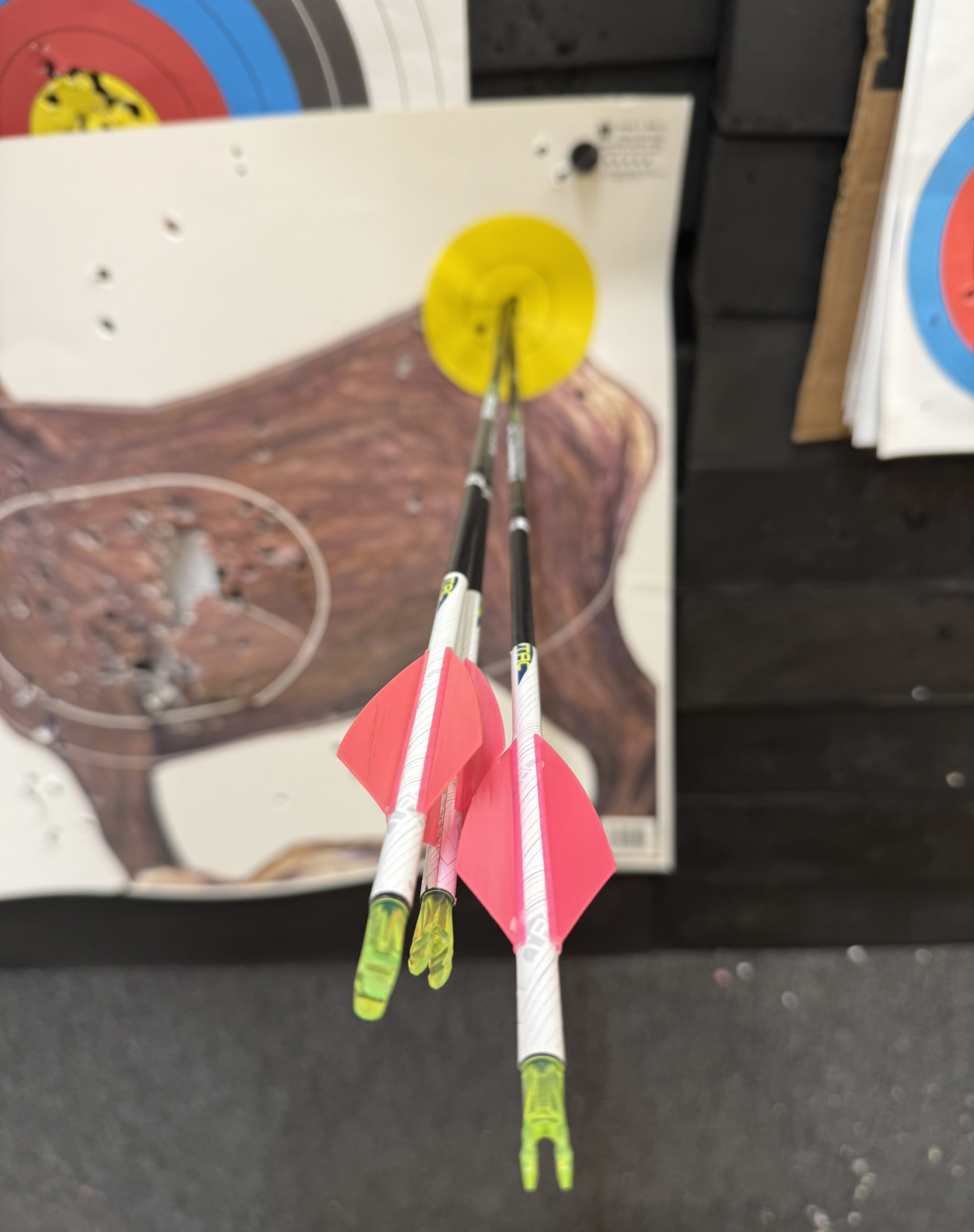 A 20 yard group with the ARC