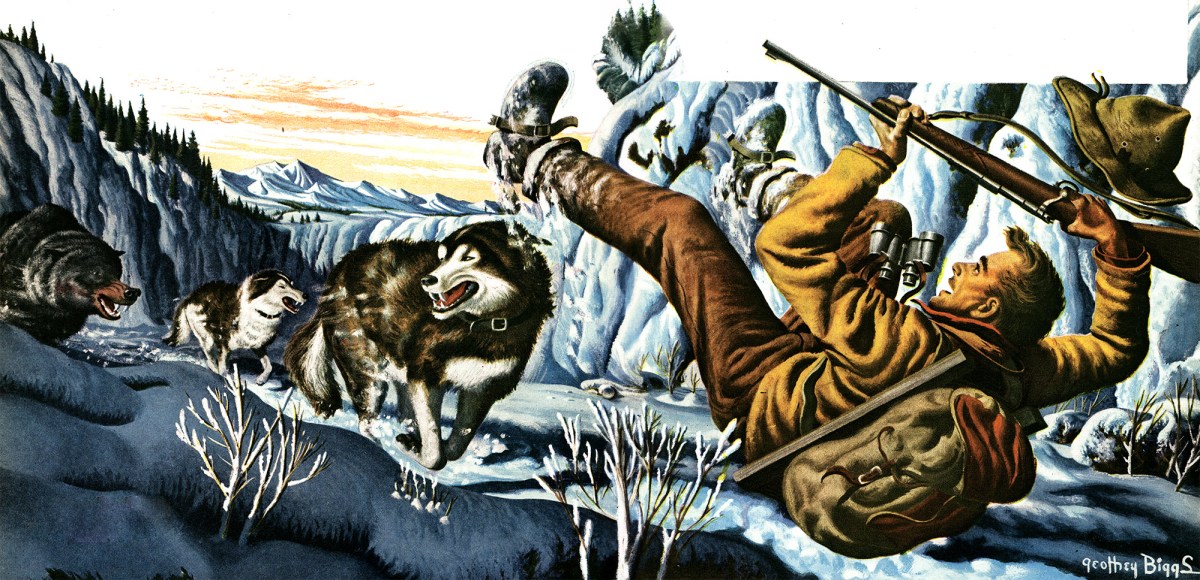 The Day My Sled Dogs Took On a Grizzly — and Won