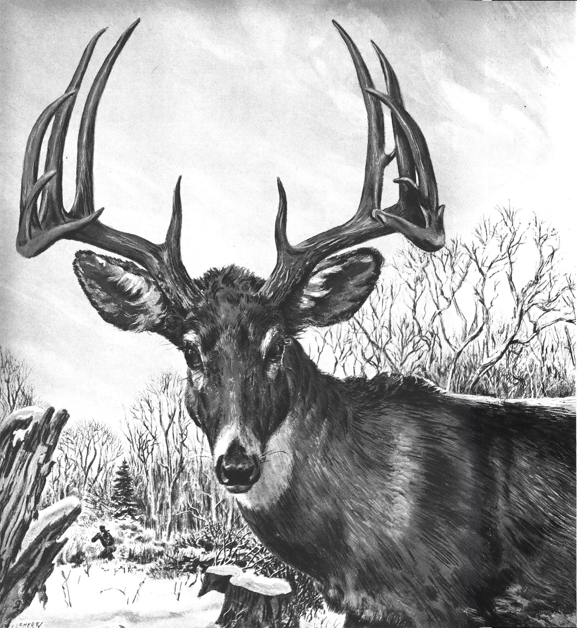 Big buck illustration in the snow.