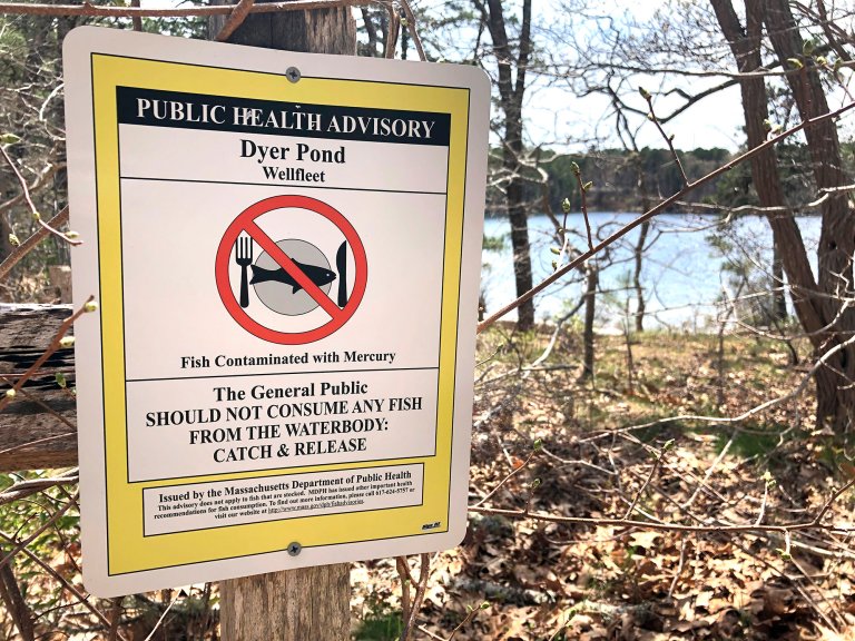 A public health sign advising fishermen not to consume the fish in a contaminated pond.