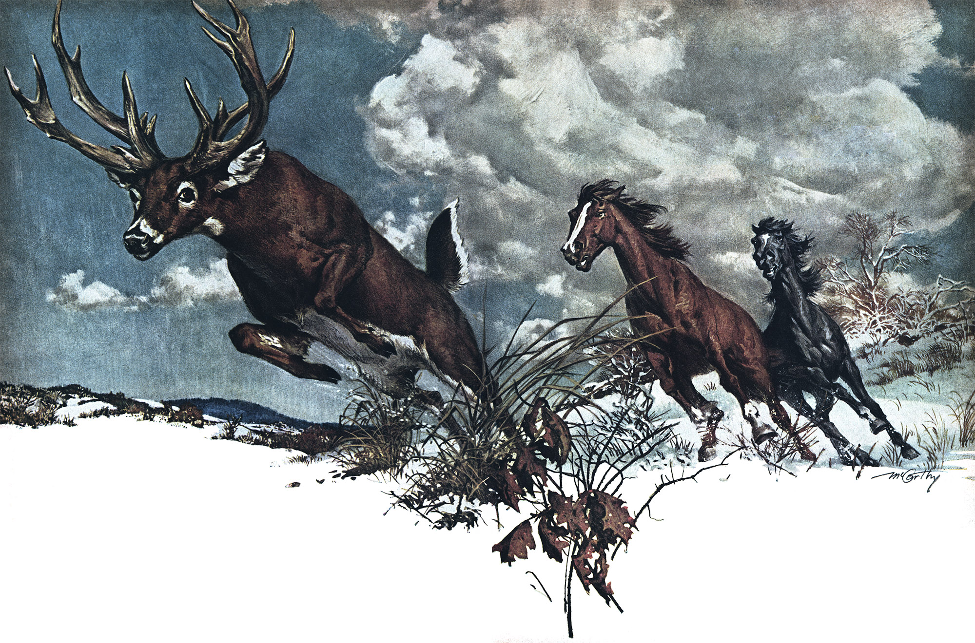 I Tracked This Double-Beamed Buck for 8 Miles Across Ohio