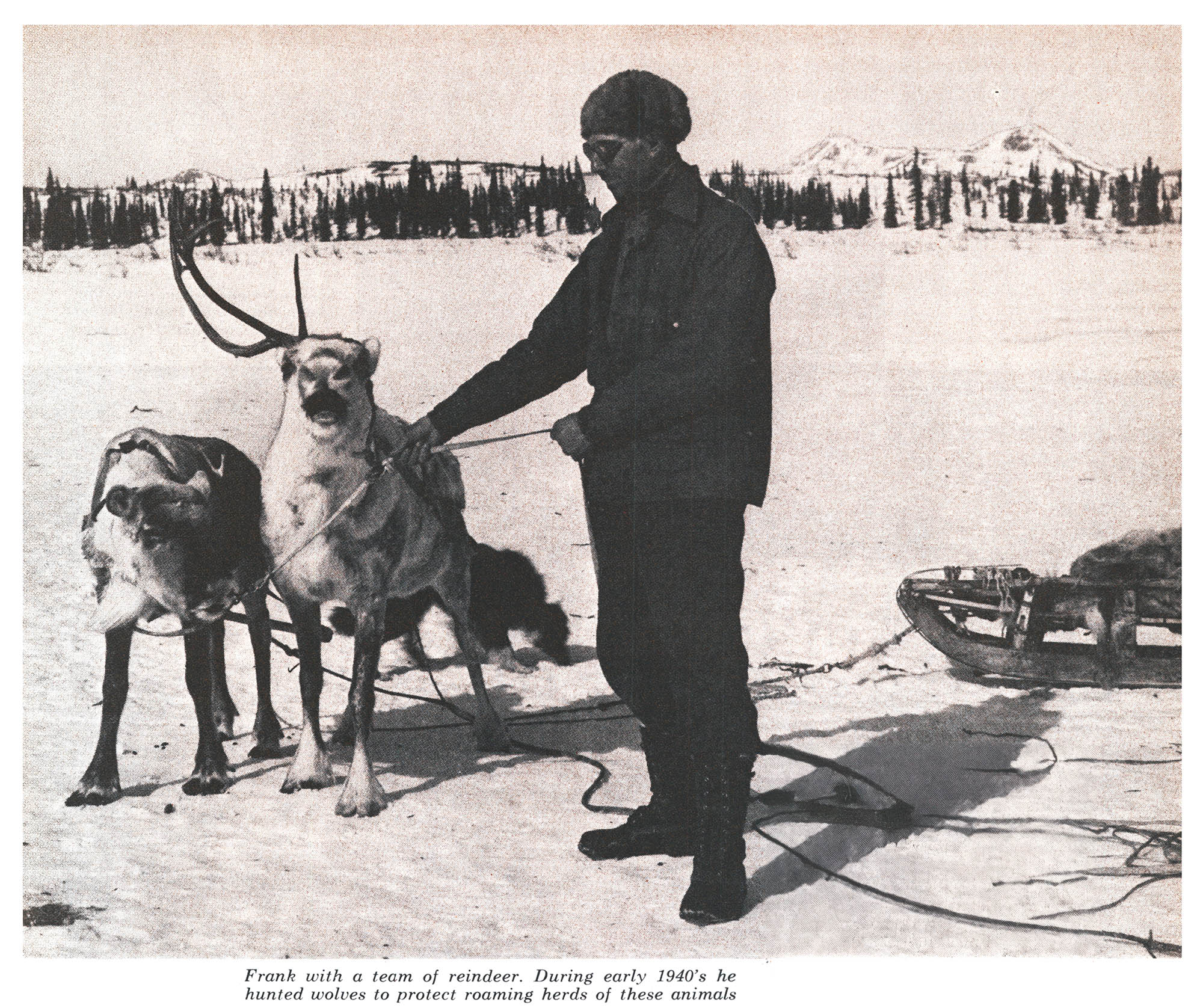 A black and white photo of Frank Glaser with a reindeer