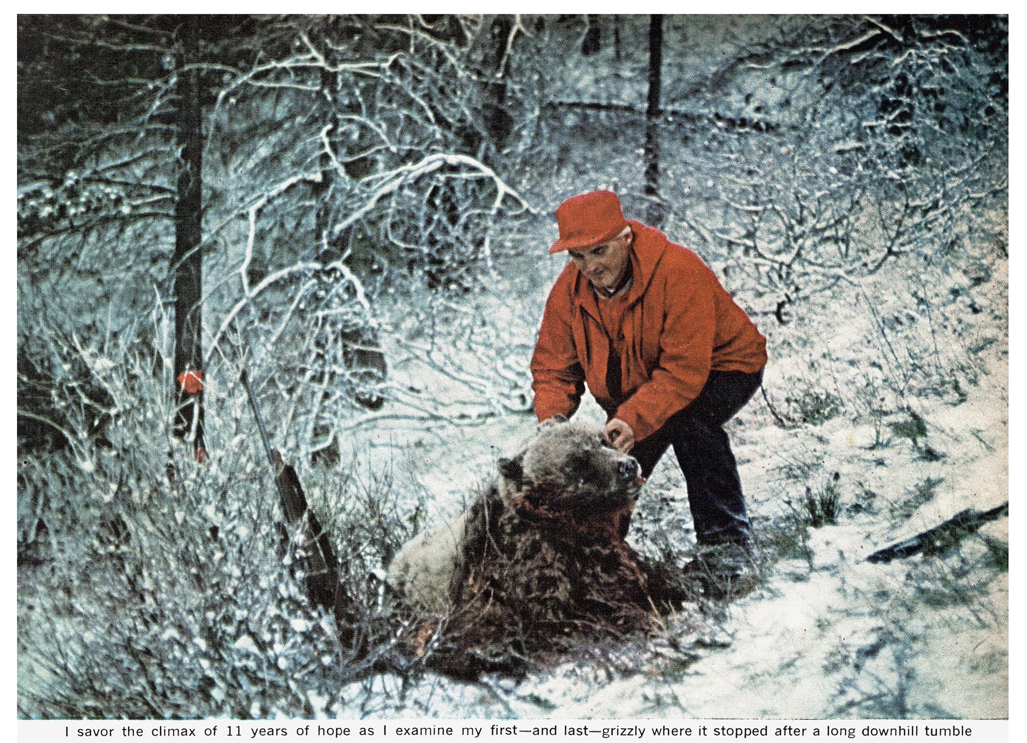 An old color photo of a hunter in red with a bear in the snow.