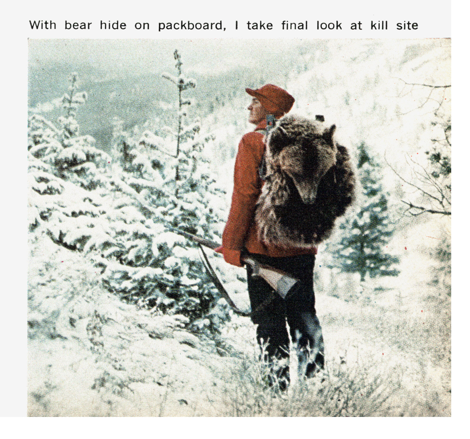 A hunter packs out a grizzly in the snow