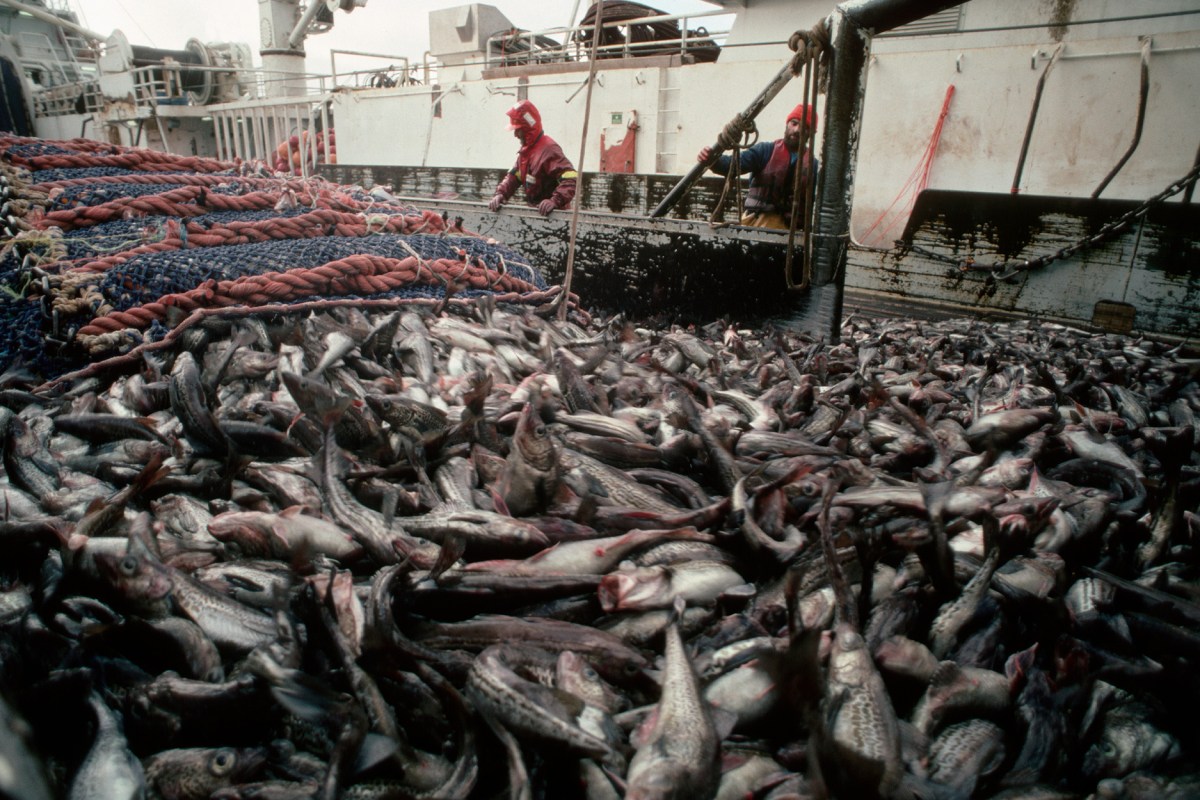 This Mind-Boggling Commercial Fishing Practice Is Robbing Alaska’s Anglers