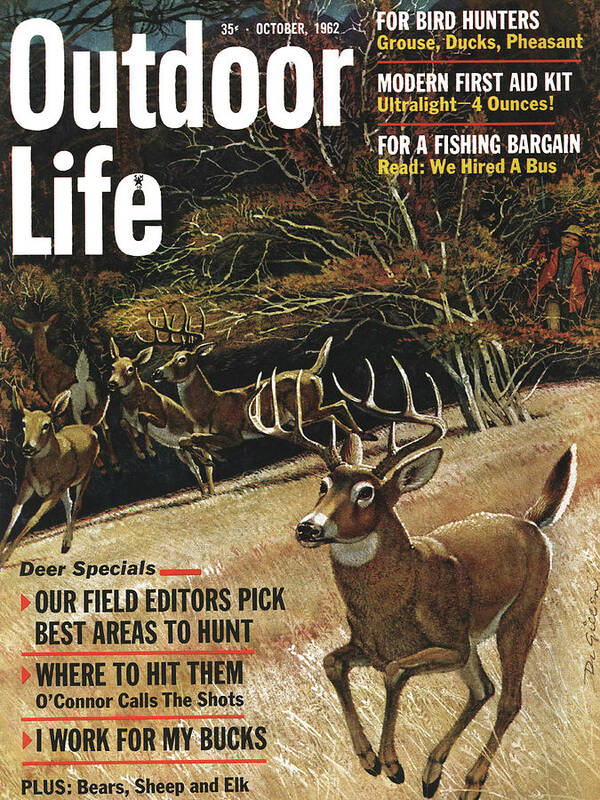 A cover of outdoor life magazine featuring a buck.