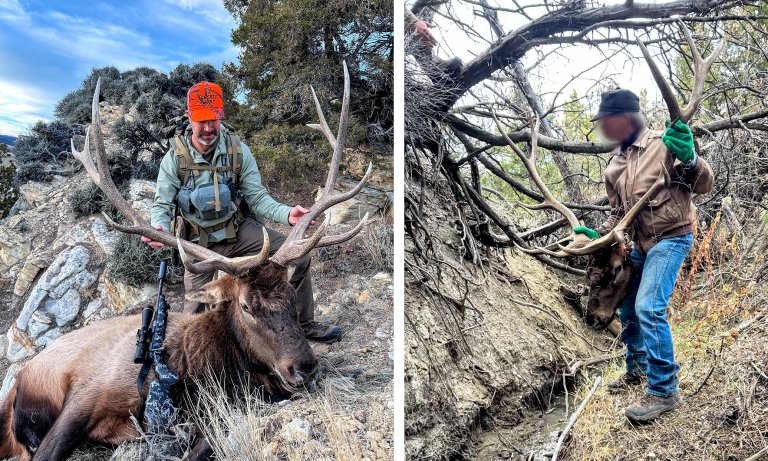 An elk hunter with his bull elk and the rancher who stole it.