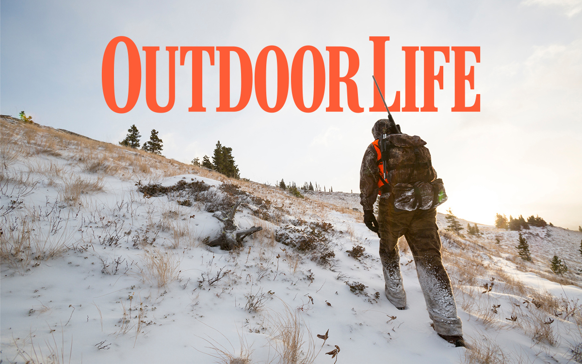 Newsletter background image