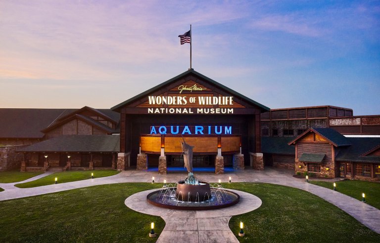 Looking at the entrance to Johnny Morris' Wonders of Wildlife National Museum and Aquarium.