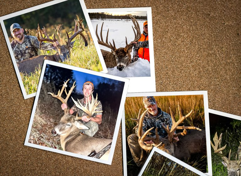 Photographs of the best bucks of 2025 on a bulletin board