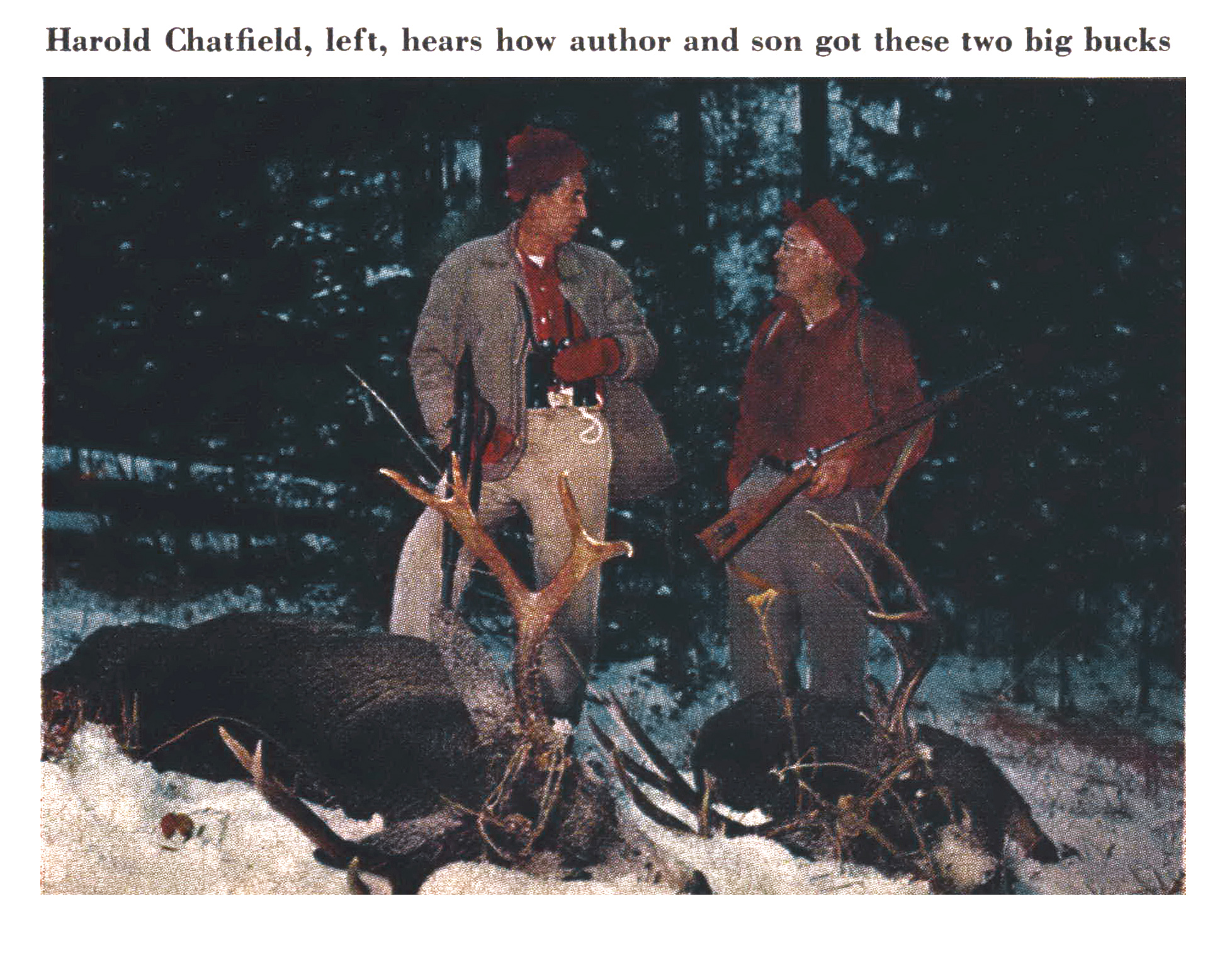 An old color photograph of two mule deer on the snow.