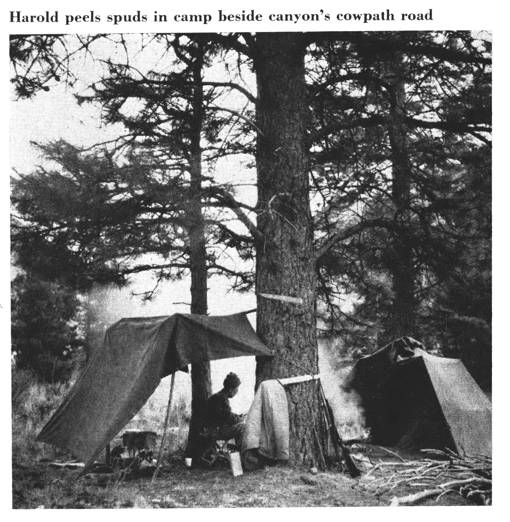 A black and white photo of a deer camp with a lean to.