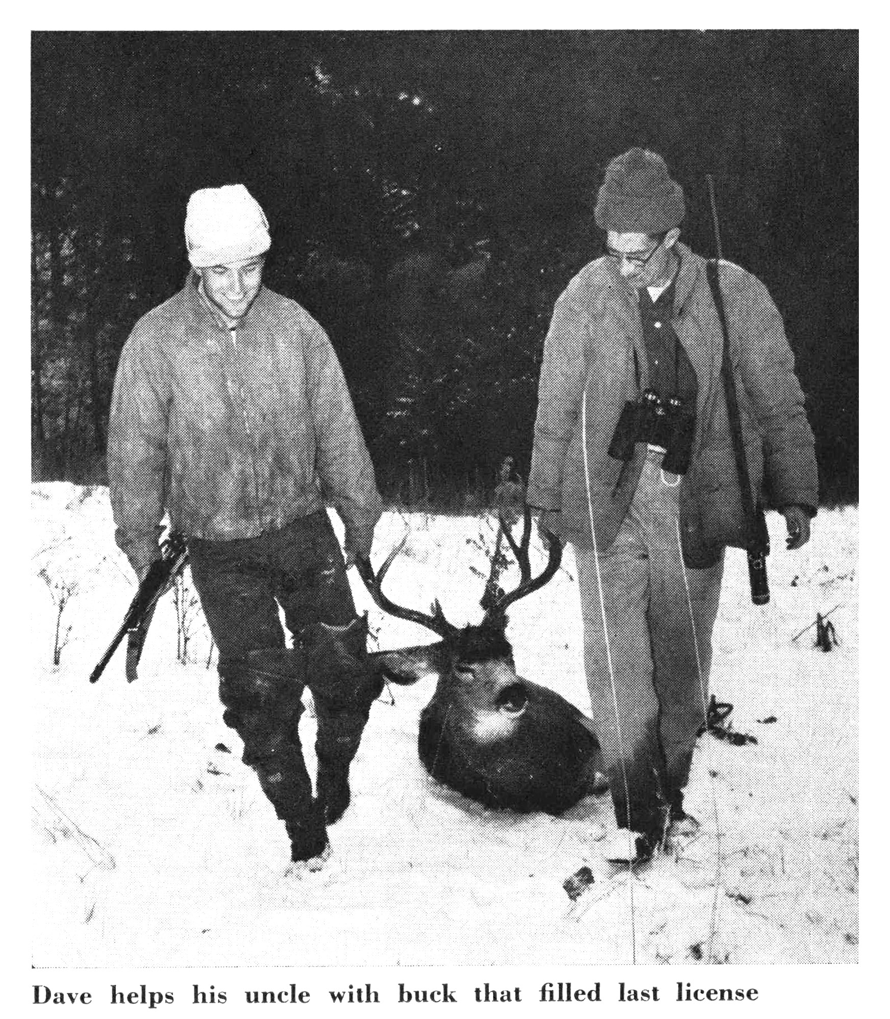 An old black and white photo of hunters dragging a nice mule deer buck.