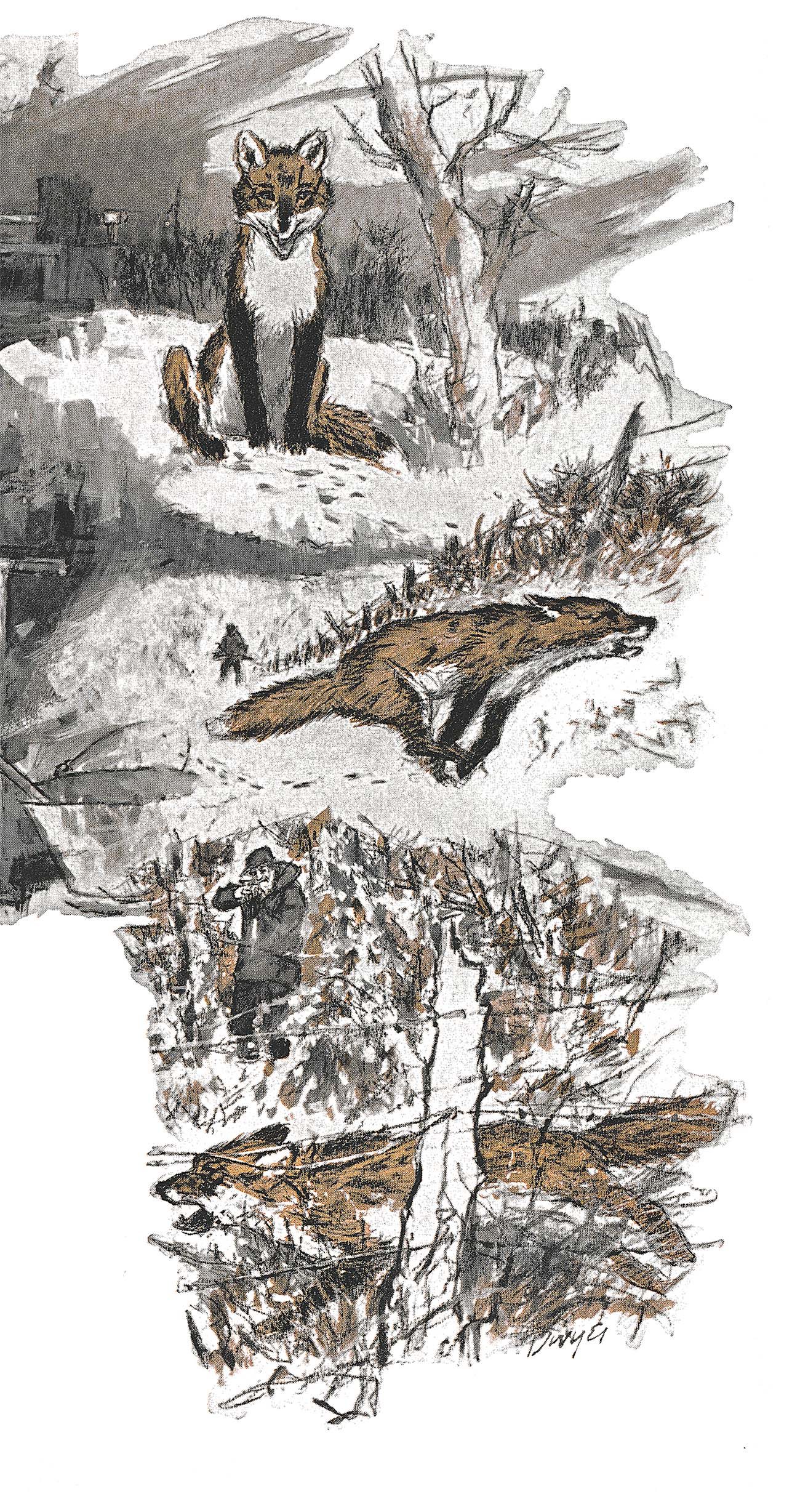 My 80-Year-Old Uncle Invited Me Fox Hunting. I Didn't Realize It