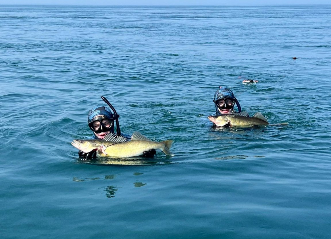 Two spearfishermen surface with walleyes.