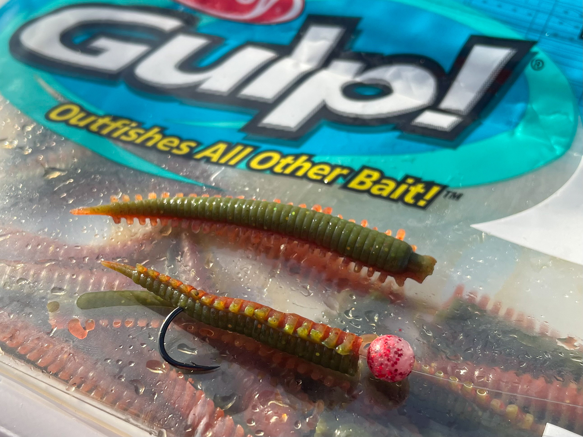 Gulp Sandworms bait for surf perch