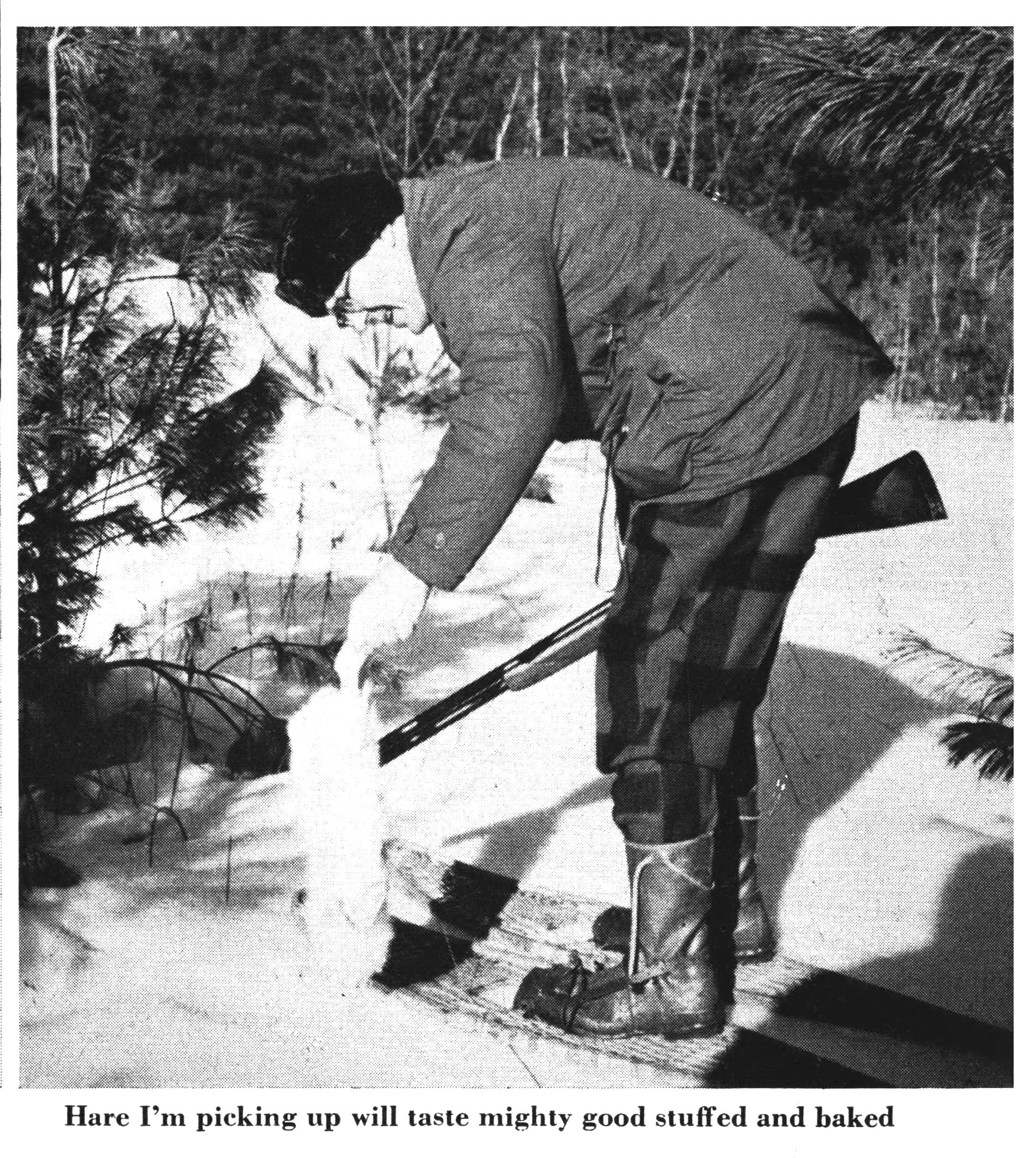 An old black and white photo of a snowshoe hare hunter.