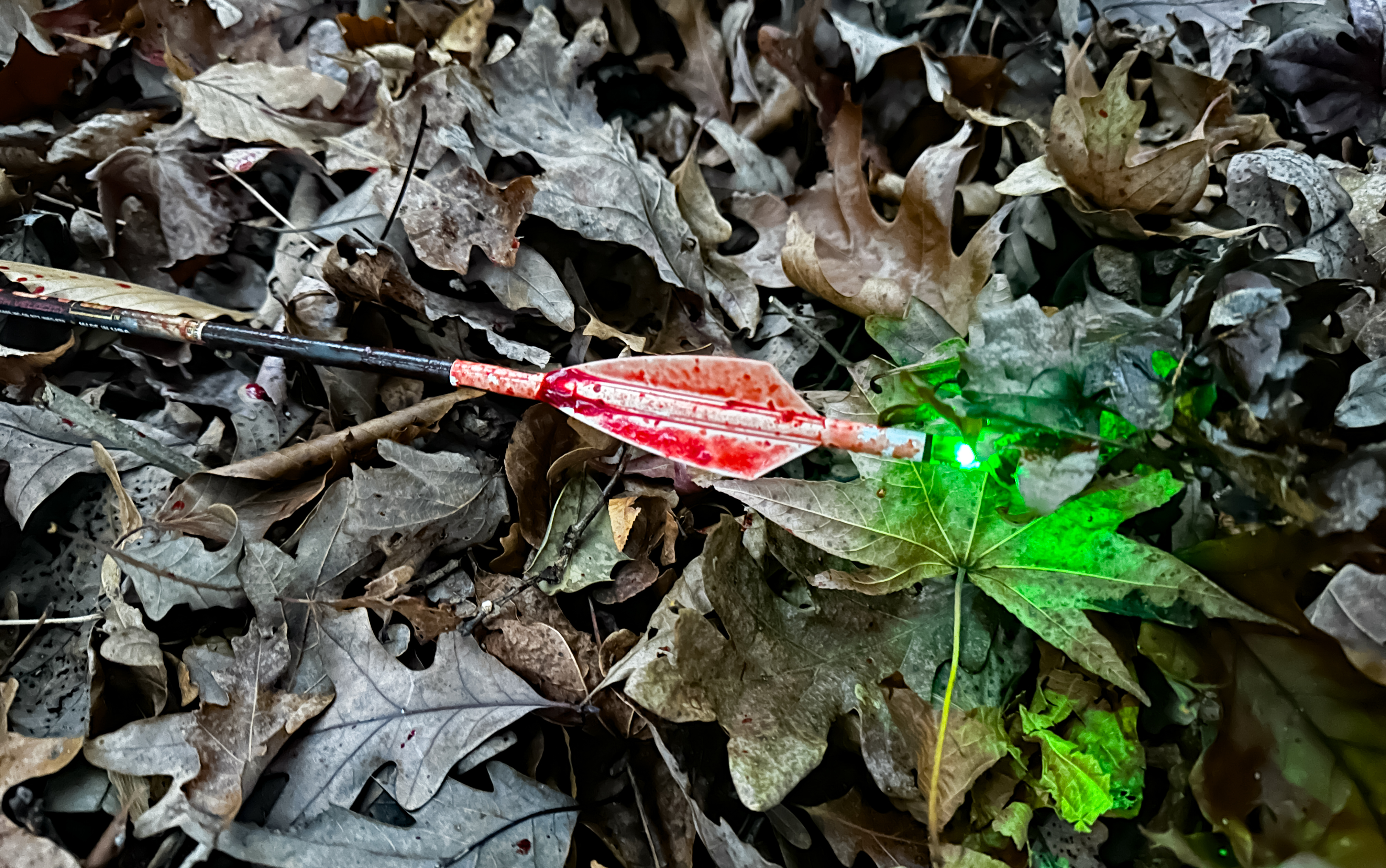 Testing the best lighted nocks