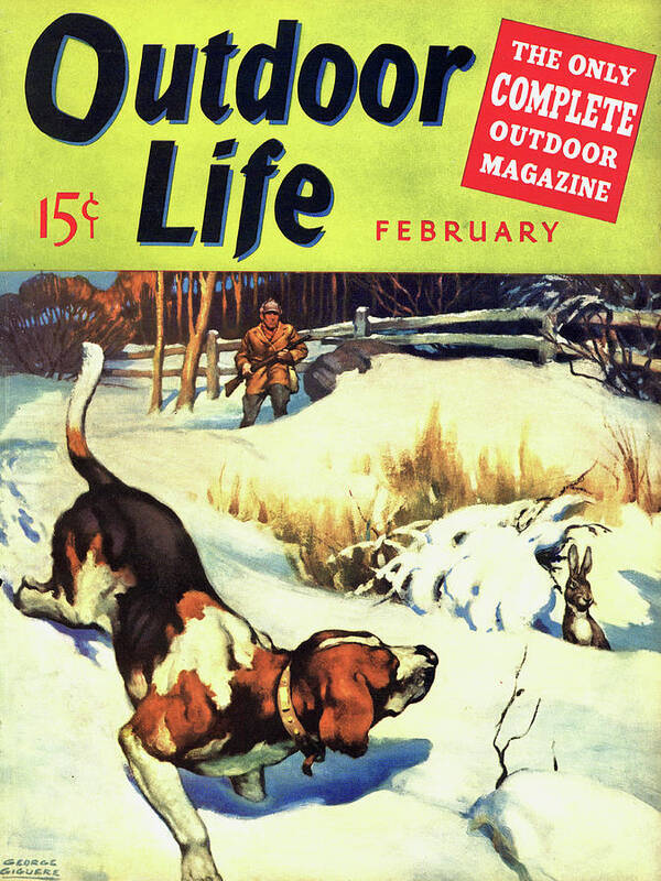 An old cover of outdoor life magazine from February 1940 featuring a beagle and a rabbit.