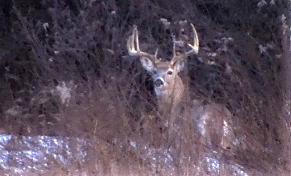 A Pennsylvania Hunter Had His “Buck of a Lifetime” Stolen. So Why Are People Blaming Him? A Pennsylvania Hunter Had His “Buck of a Lifetime” Stolen. So Why Are People Blaming Him?