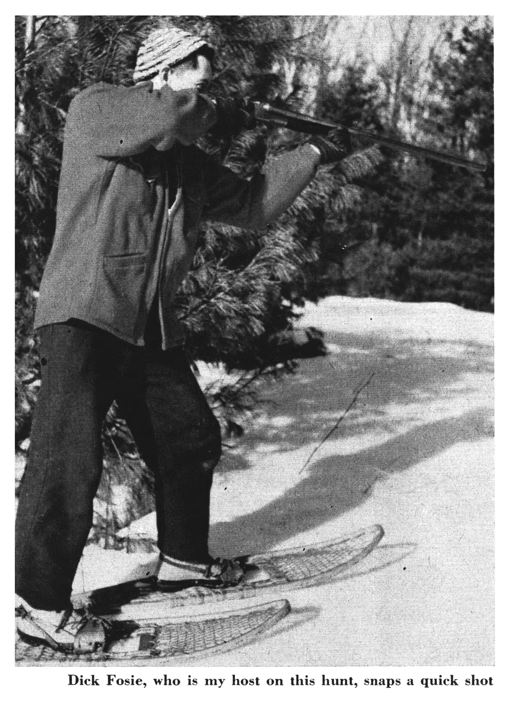 Old black and white photo of a snowshoe hare hunter.