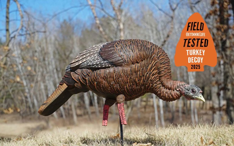 Turkey hen decoy