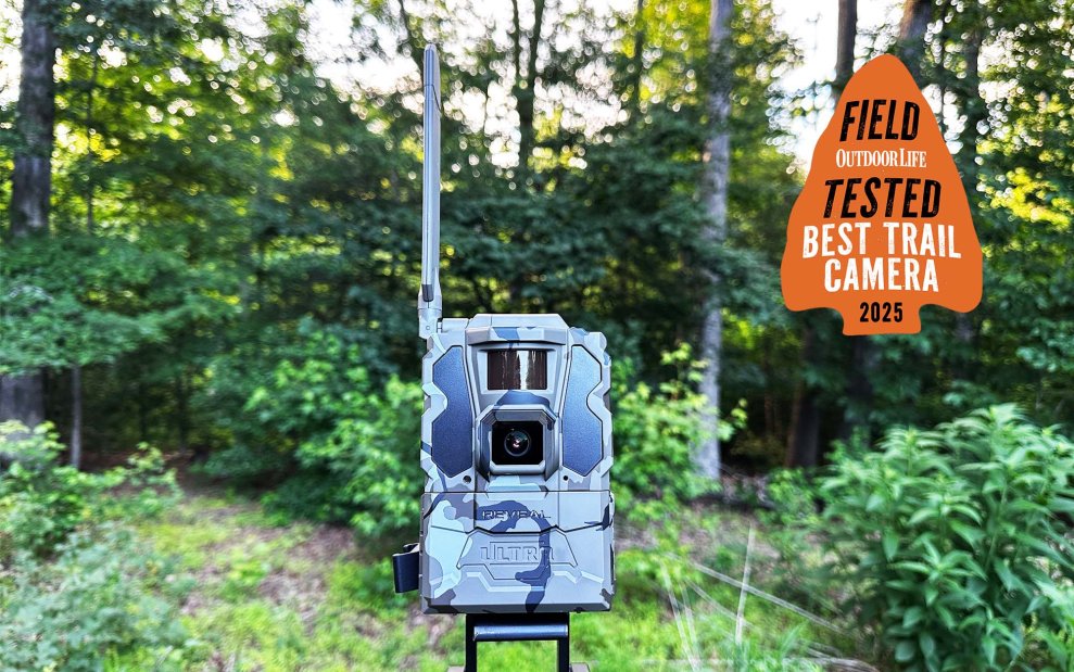 Our Favorite Trail Camera Is Finally On Sale