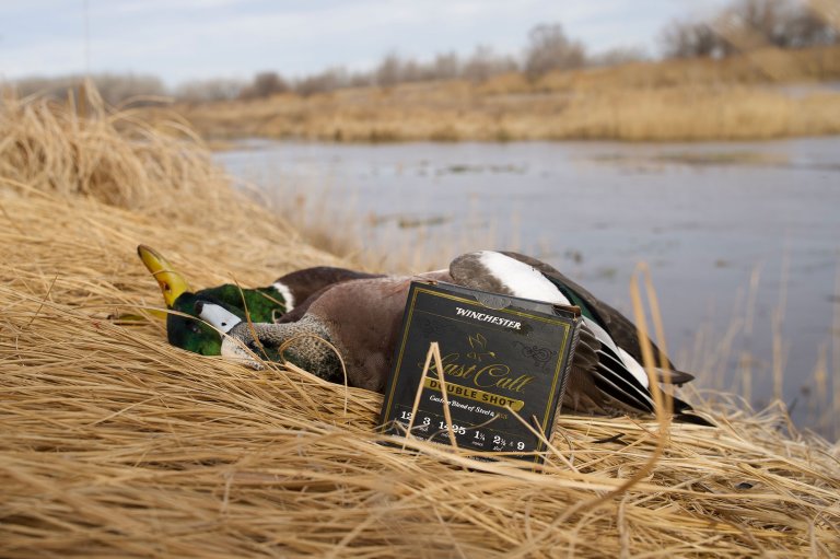 winchester double shot