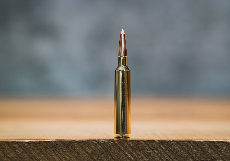 25 weatherby rpm cartridge