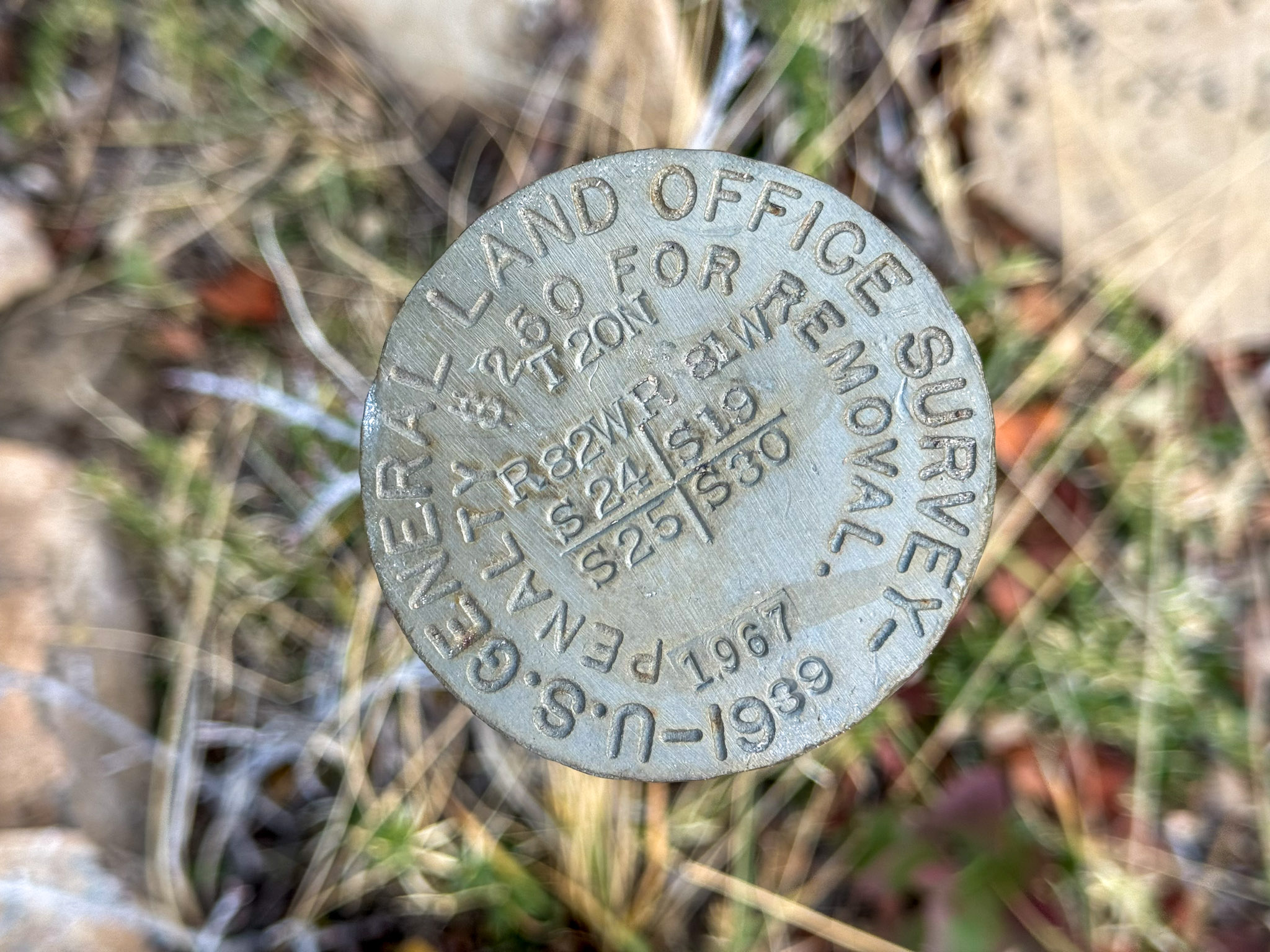 A surveyor stake used to define a corner.