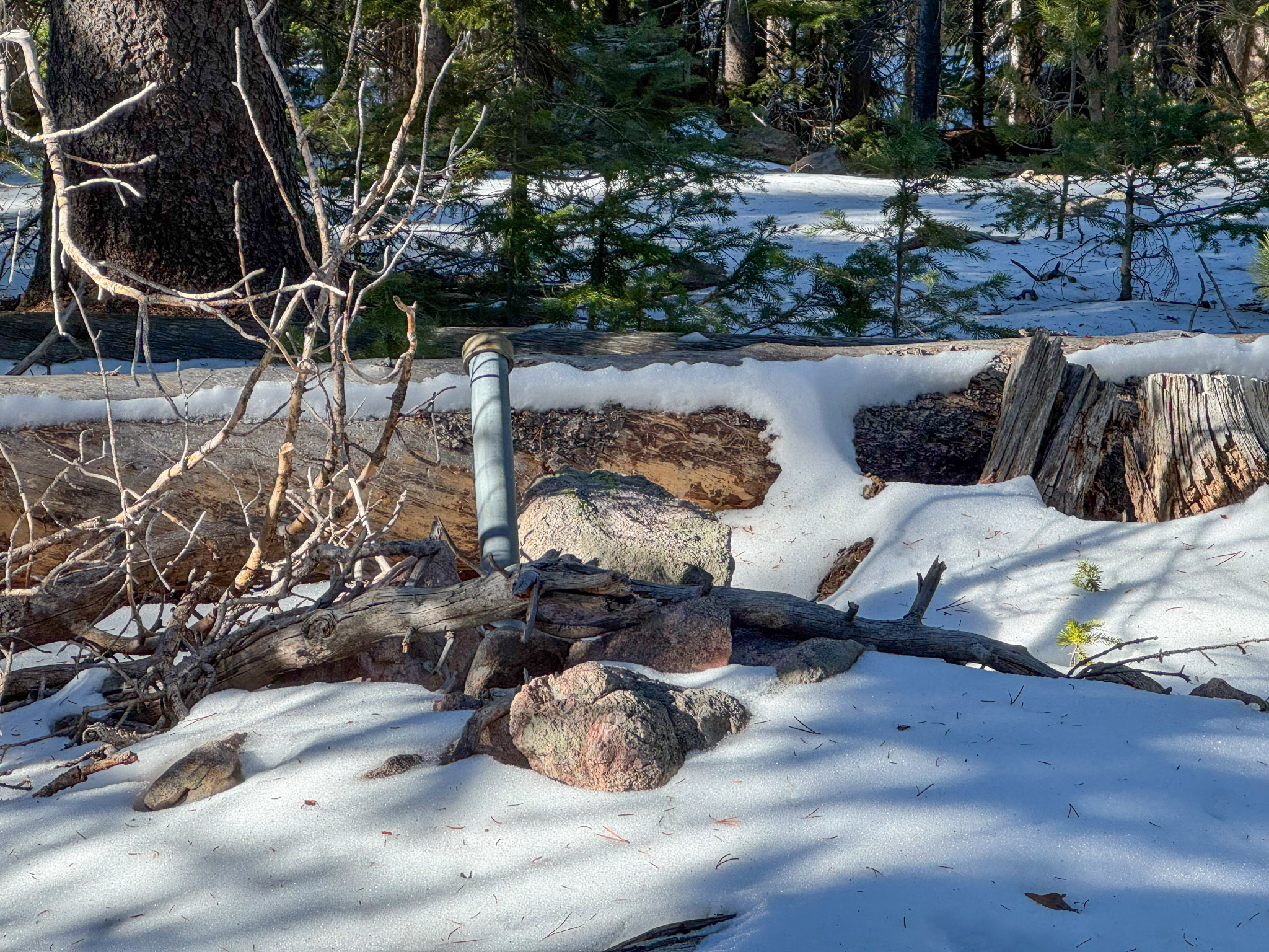 A fallen survey pin.