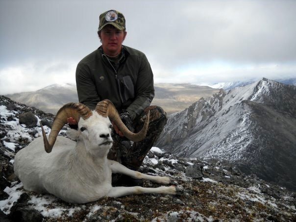 freel with mpbr dadll sheep