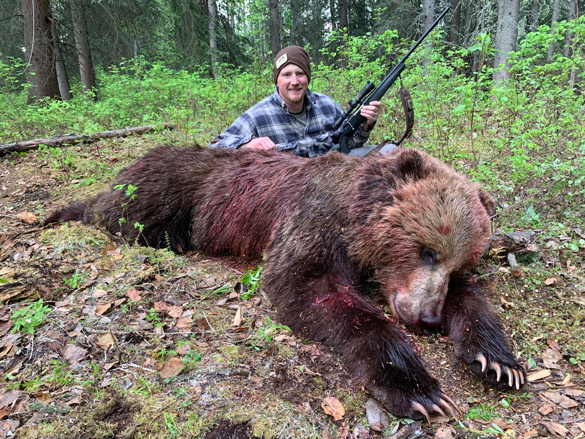 6.5 Creedmoor grizzly bear