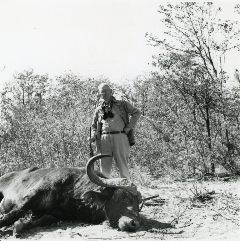 A black and white photo of Jack O'Connor standing over a cape buffalo.