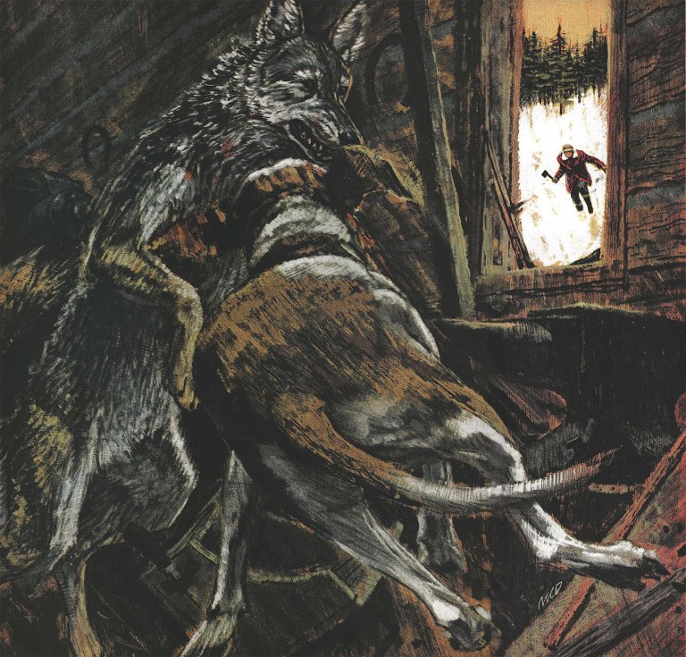 An illustration of a dog and a coyote fighting