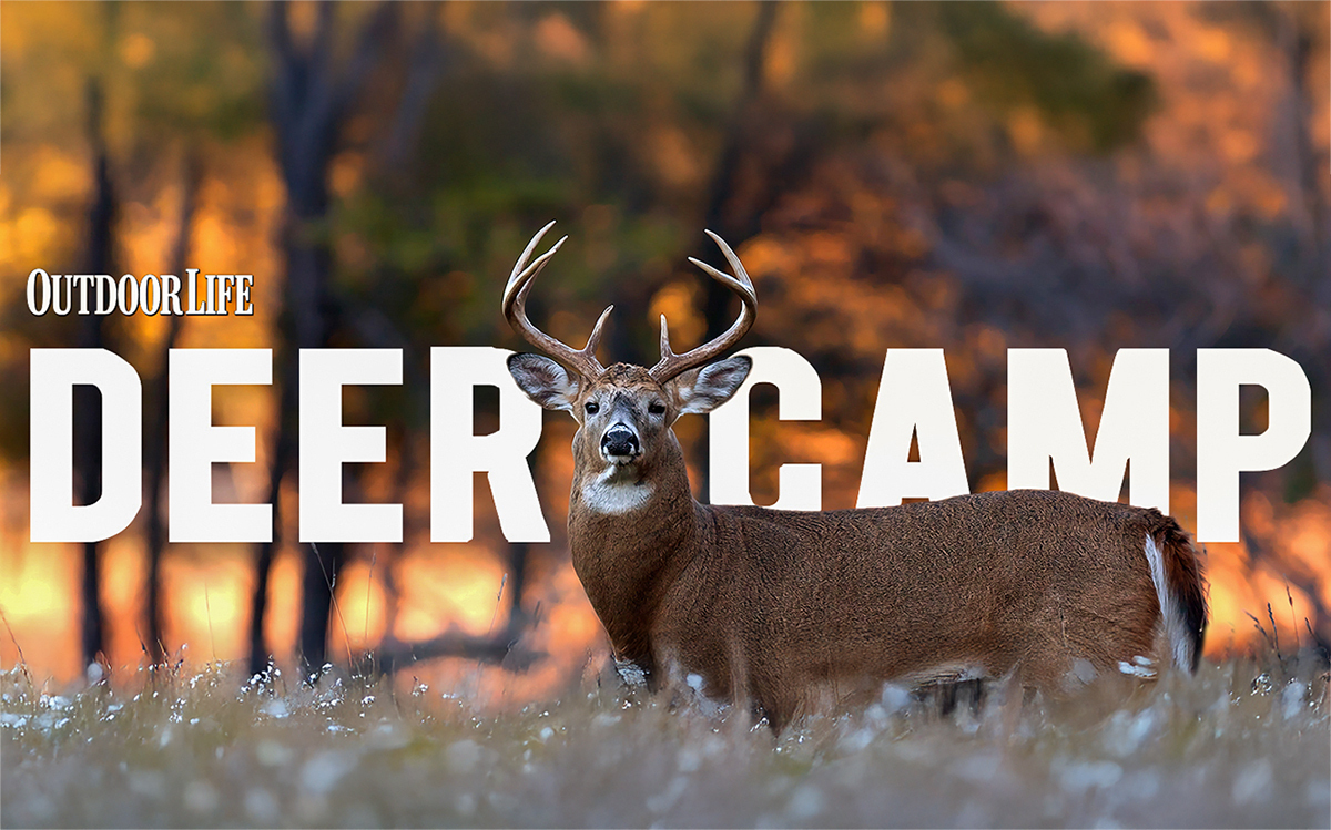 Newsletter background image