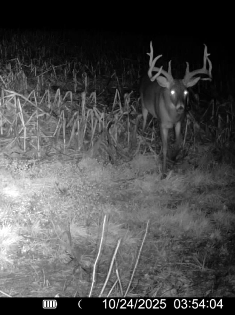 A big Pennsylvania buck caught on a trail camera.