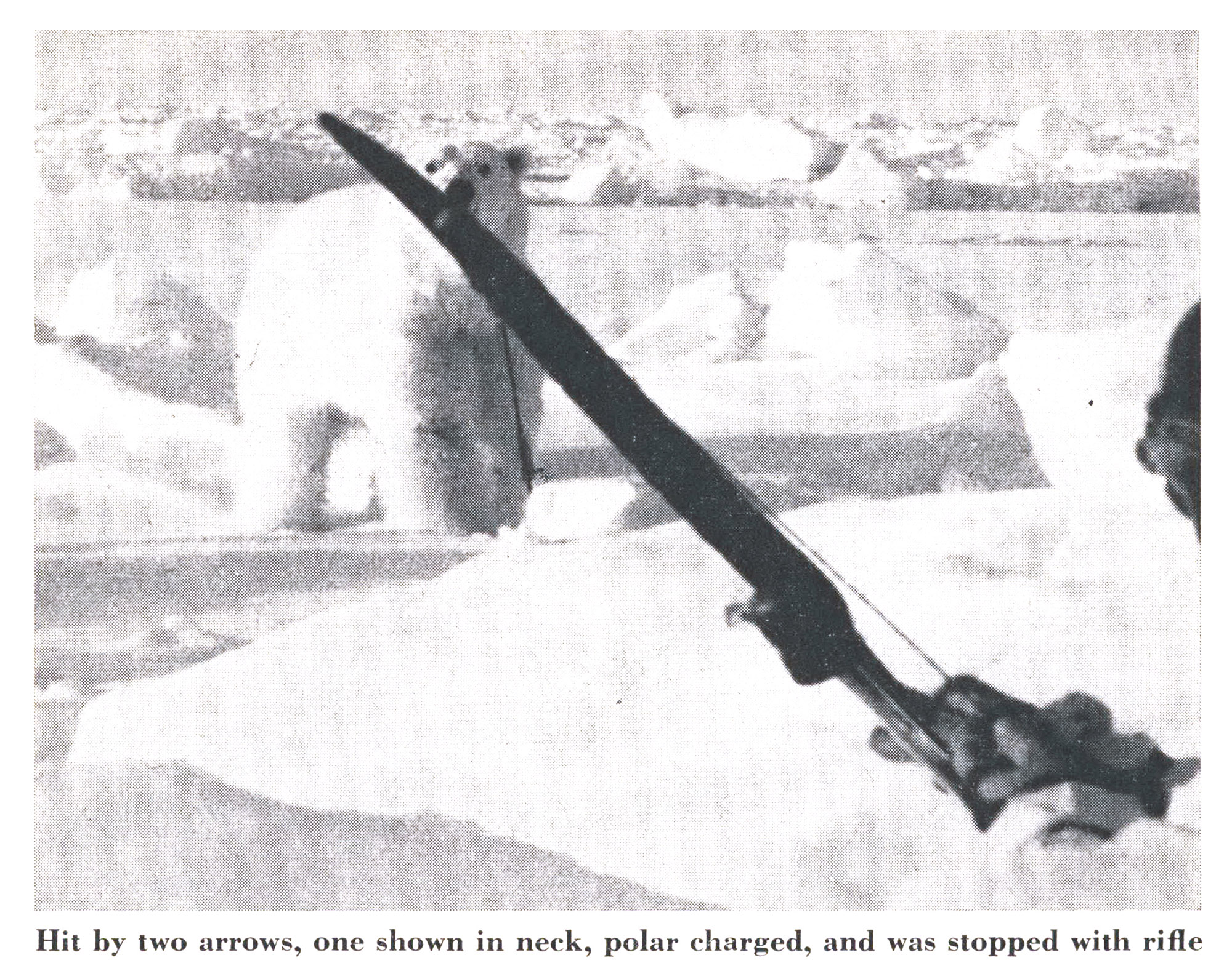 A black and white photo of fred bear