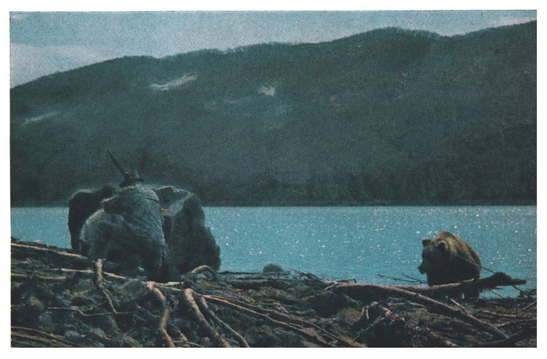 Fred bear bowhunting in Alaska